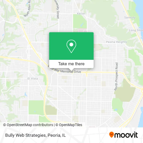 Bully Web Strategies map