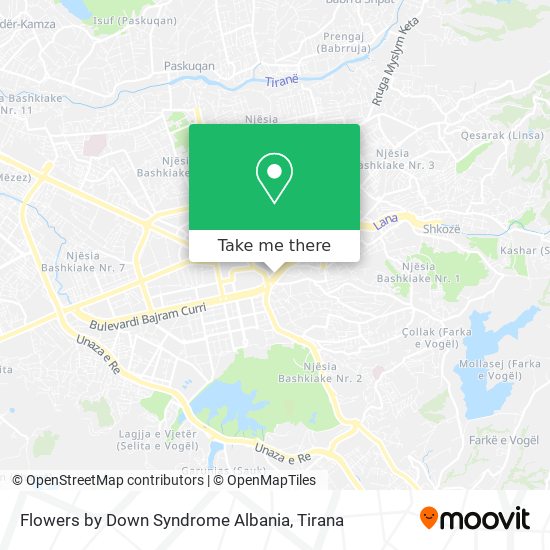 Flowers by Down Syndrome Albania map