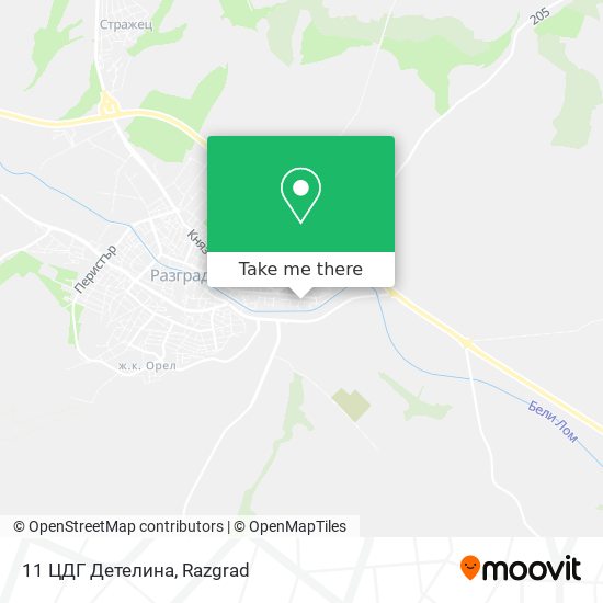 11 ЦДГ Детелина map