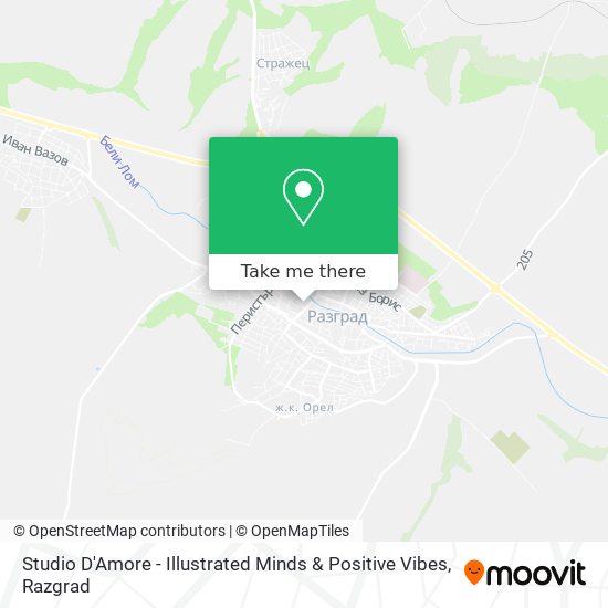 Studio D'Amore - Illustrated Minds & Positive Vibes map