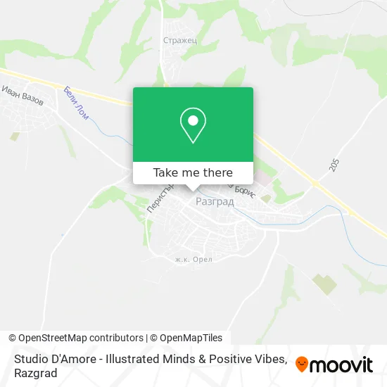 Studio D'Amore - Illustrated Minds & Positive Vibes map