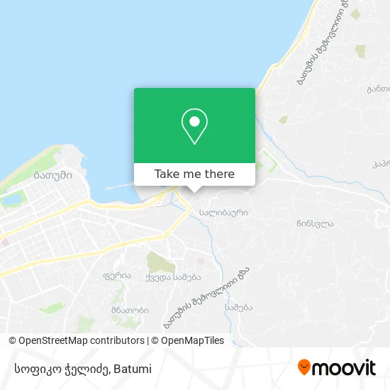 სოფიკო ჭელიძე map