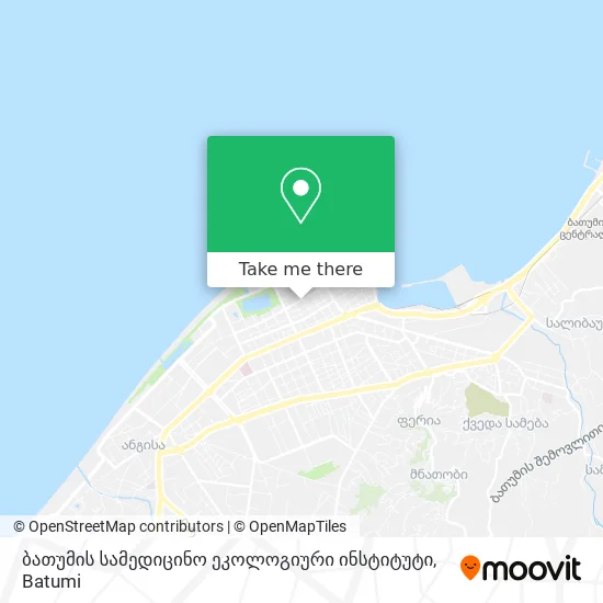 ბათუმის სამედიცინო ეკოლოგიური ინსტიტუტი map
