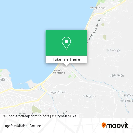 ფიროსმანი map