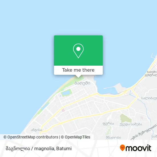 მაგნოლია / magnolia map