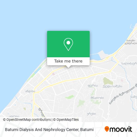 Карта Batumi Dialysis And Nephrology Center