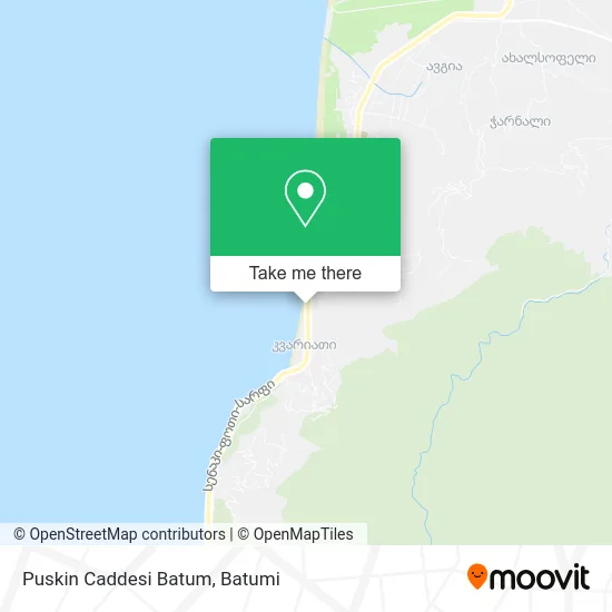 Puskin Caddesi Batum map