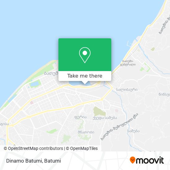 Карта Dinamo Batumi
