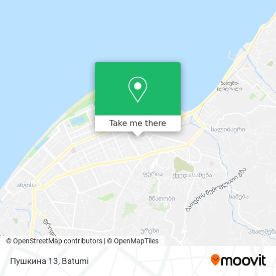 Пушкина 13 map