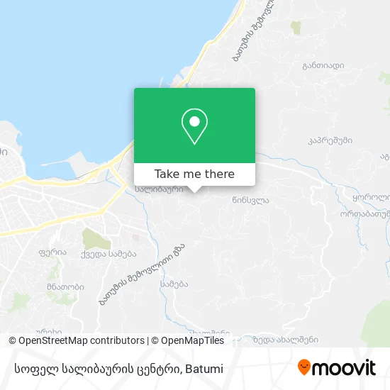სოფელ სალიბაურის ცენტრი map