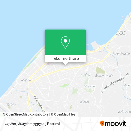 ჯვარი,ახალსოფელი. map