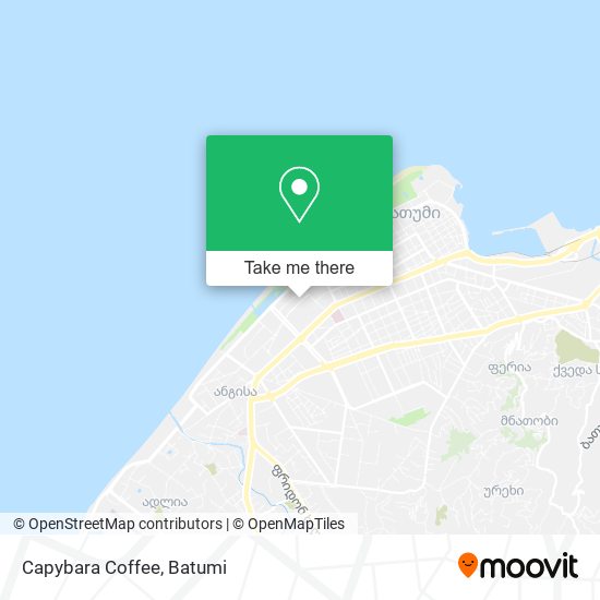 Карта Capybara Coffee