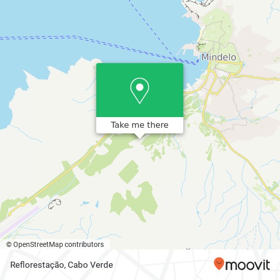 Reflorestação mapa