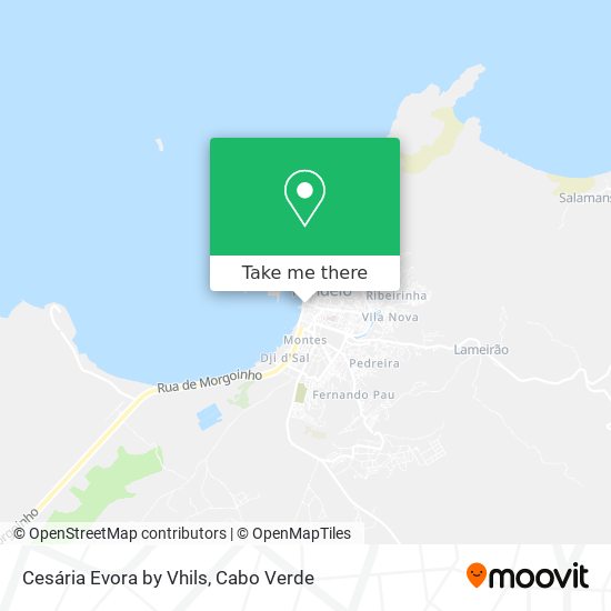 Cesária Evora by Vhils map