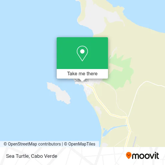 Sea Turtle map