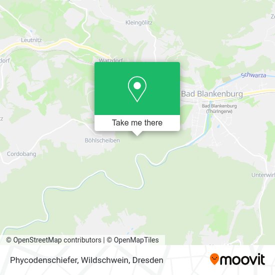 Карта Phycodenschiefer, Wildschwein