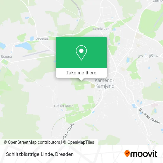 Карта Schlitzblättrige Linde
