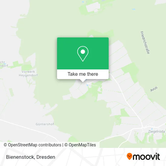 Карта Bienenstock