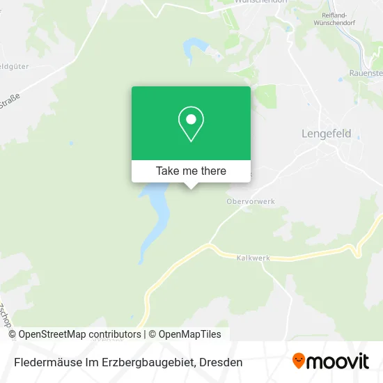 Карта Fledermäuse Im Erzbergbaugebiet
