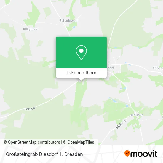 Карта Großsteingrab Diesdorf 1