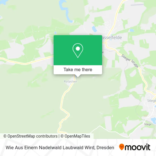 Wie Aus Einem Nadelwald Laubwald Wird map