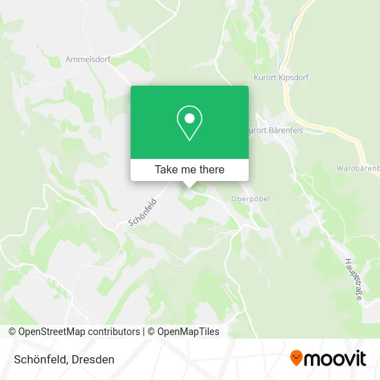 Карта Schönfeld