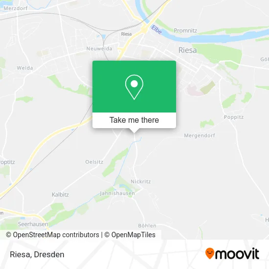 Riesa map