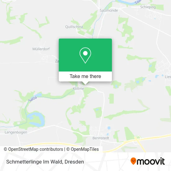 Карта Schmetterlinge Im Wald