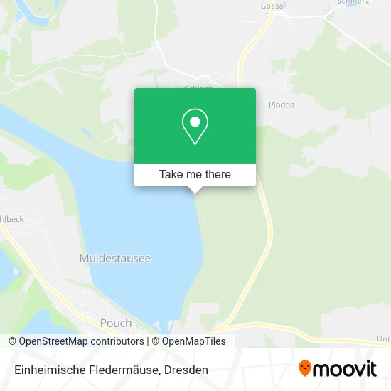 Карта Einheimische Fledermäuse