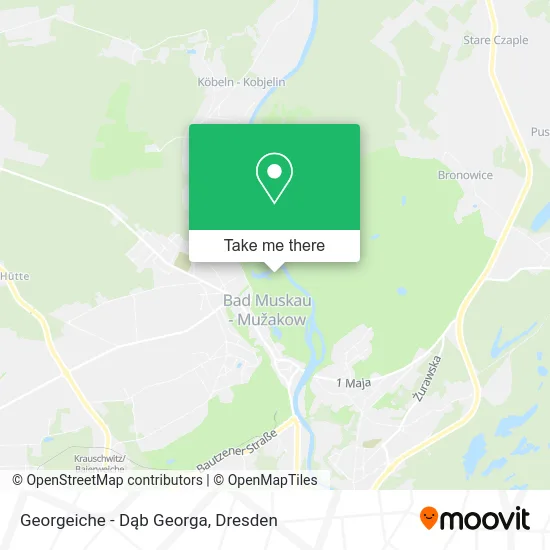 Карта Georgeiche - Dąb Georga