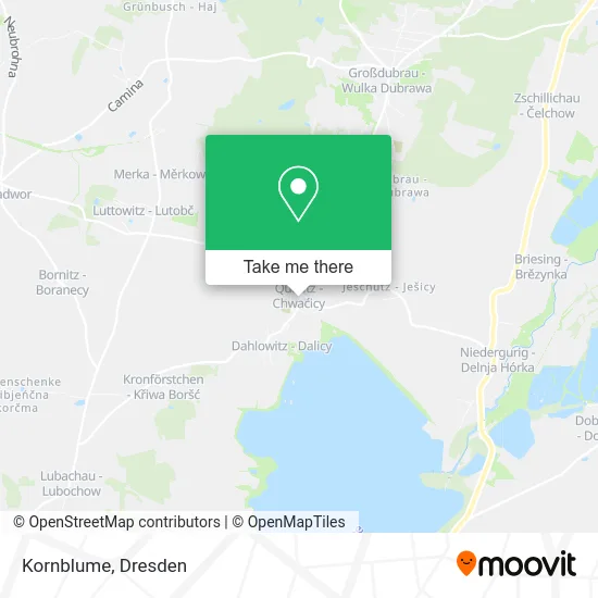 Карта Kornblume