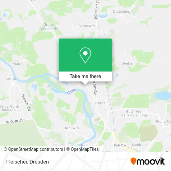 Карта Fleischer