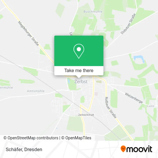 Schäfer map