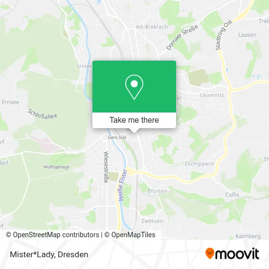 Карта Mister*Lady