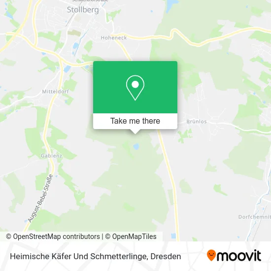 Карта Heimische Käfer Und Schmetterlinge