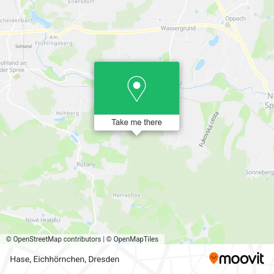 Карта Hase, Eichhörnchen