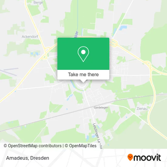 Карта Amadeus