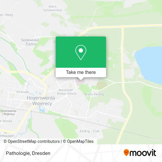 Карта Pathologie