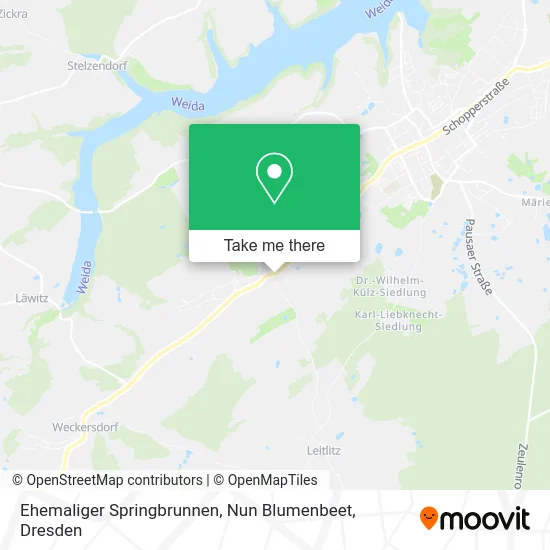 Карта Ehemaliger Springbrunnen, Nun Blumenbeet