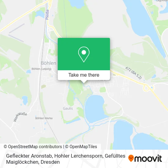 Карта Gefleckter Aronstab, Hohler Lerchensporn, Gefülltes Maiglöckchen