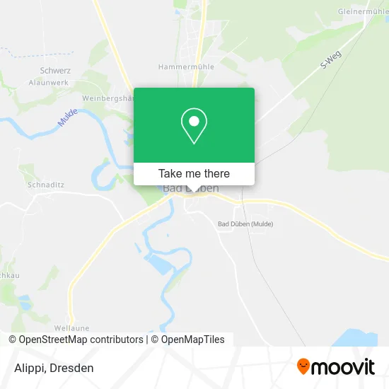 Карта Alippi