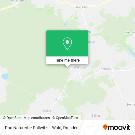 Карта Dbu Naturerbe Pöllwitzer Wald