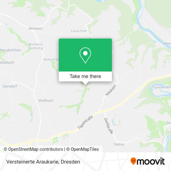 Карта Versteinerte Araukarie