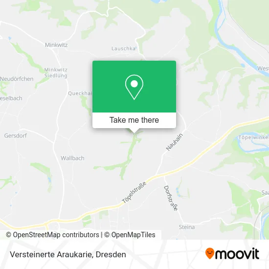 Карта Versteinerte Araukarie