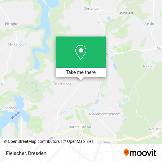 Карта Fleischer