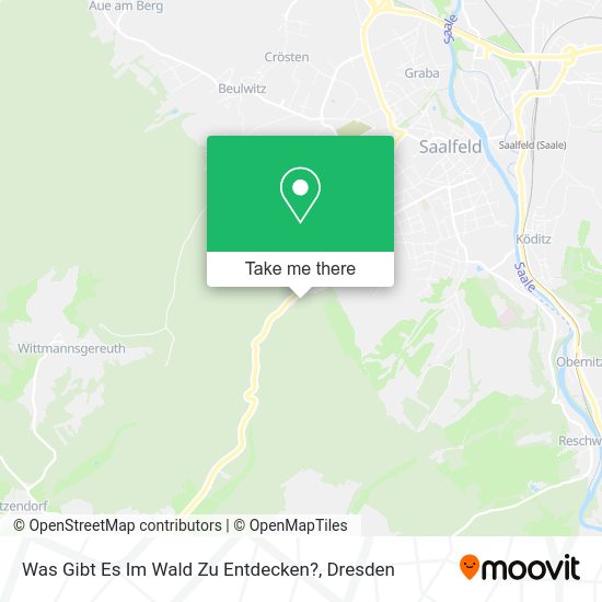 Карта Was Gibt Es Im Wald Zu Entdecken?
