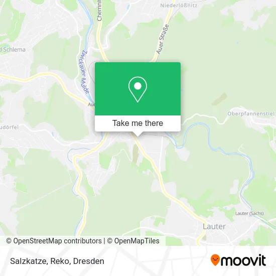 Карта Salzkatze, Reko