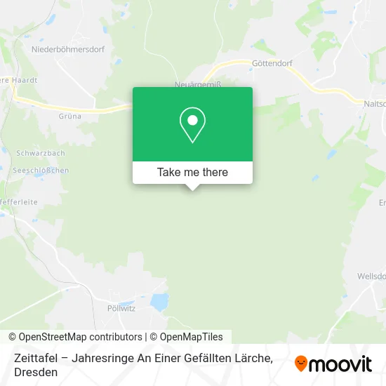 Карта Zeittafel – Jahresringe An Einer Gefällten Lärche