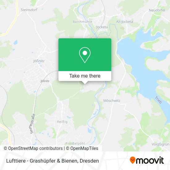 Карта Lufttiere - Grashüpfer & Bienen