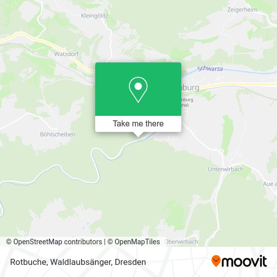 Карта Rotbuche, Waldlaubsänger